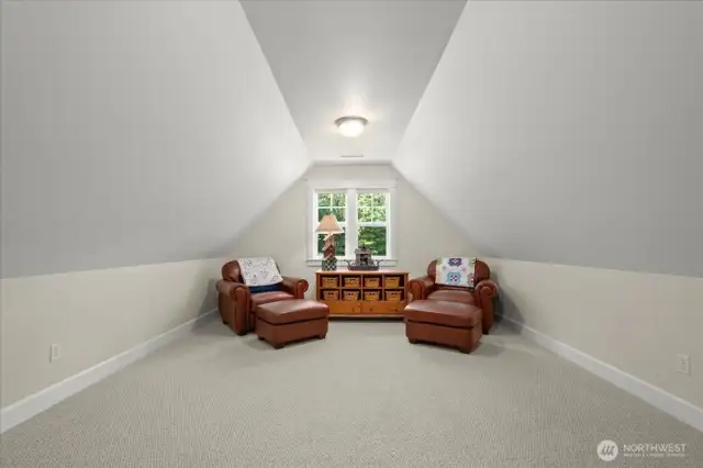 Bonus Room-Vaulted