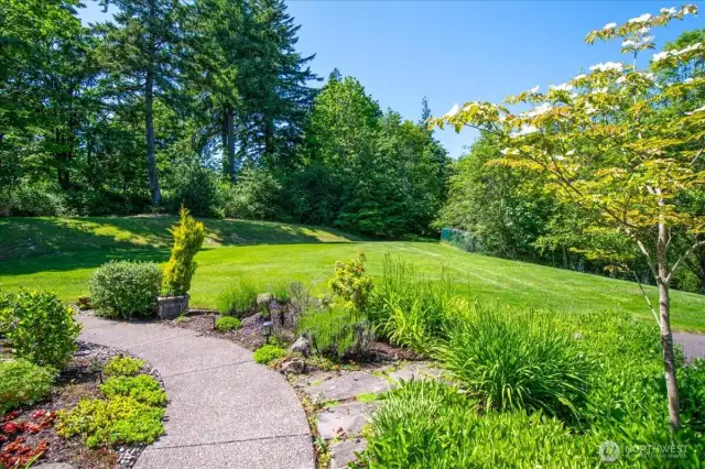 Front Yard