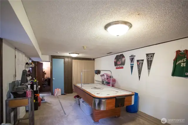 bonus area/second lliving room downstairs