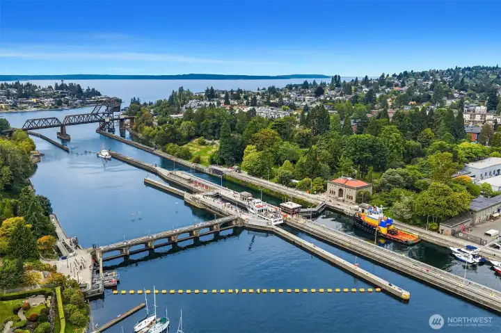 Scenes from around Ballard - Ballard Locks
