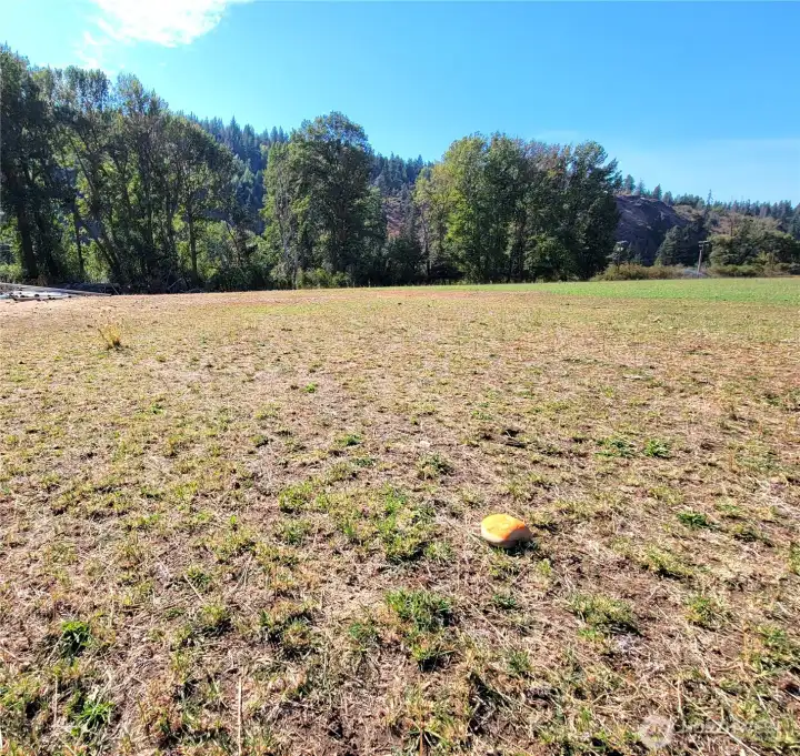 View from the setback line looking toward the river.