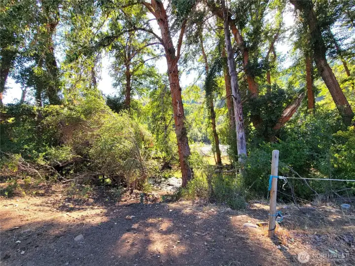 Trail leading to river
