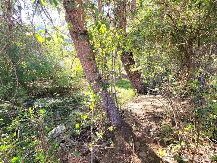 This lot has 300 feet of river frontage and is fairly wooded along the river but has access to the river from multiple trails.  Opening up to rocky beaches when the river is low.