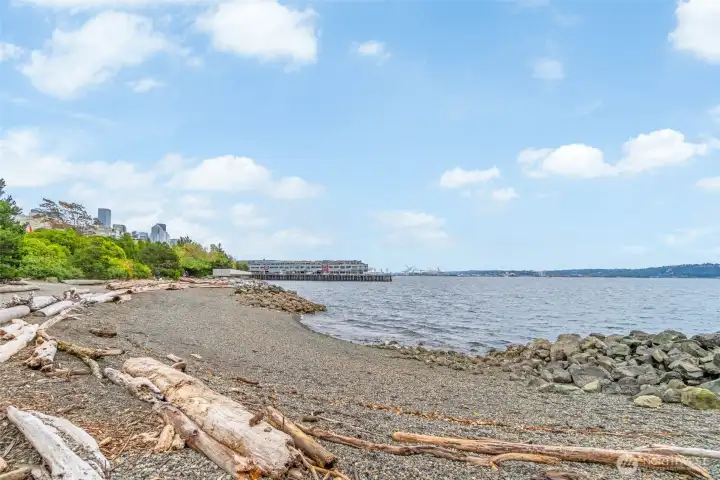 Spectacular views of Elliott Bay, Puget Sound and Olympic Mountains from Myrtle Edwards Park