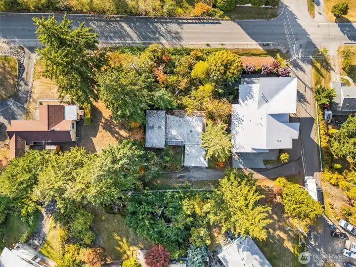 Bird’s-eye view highlighting the home’s placement among lush trees.