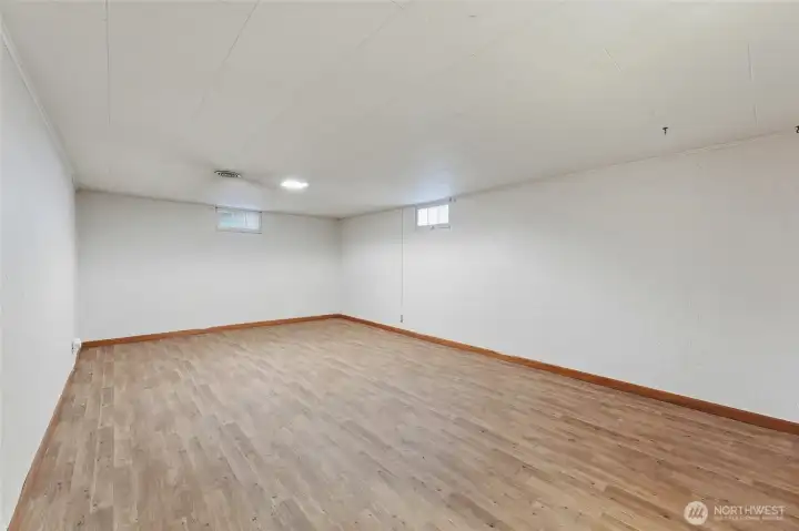 Rec room - Basement