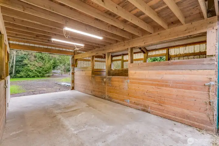 Lots of lights and water too!