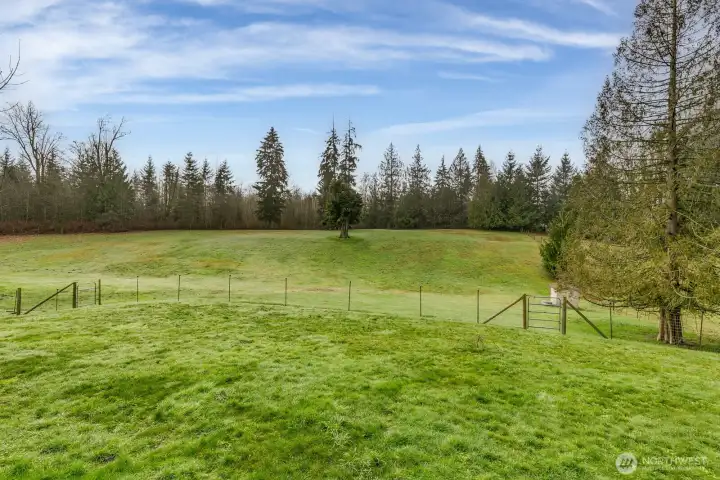 Wonderful land for all your animals