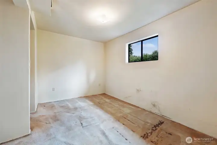 Lower level bedroom / flex room