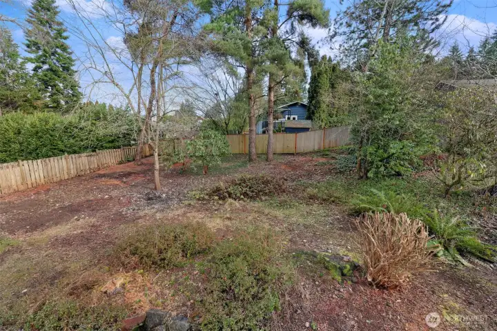 Expansive backyard - ready for your energy and ideas.