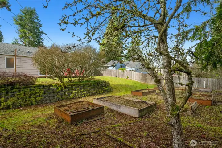 Lovely house and lot and all just 2 blocks to the light rail.