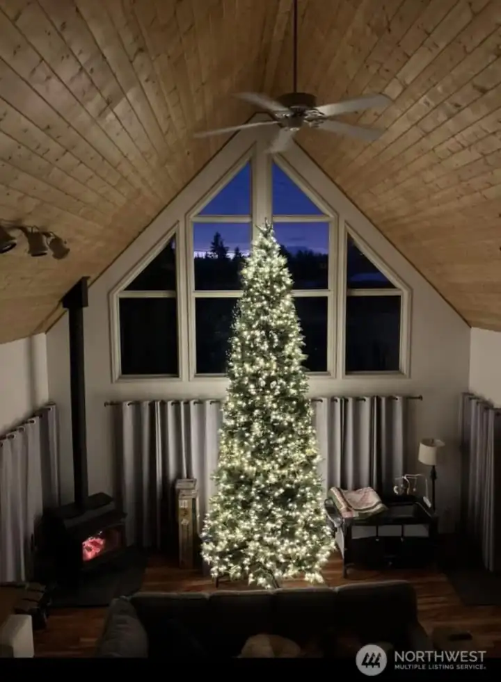 Christmas tree 18ft tall. Windows this grand need a tree this size! (Negotiable)