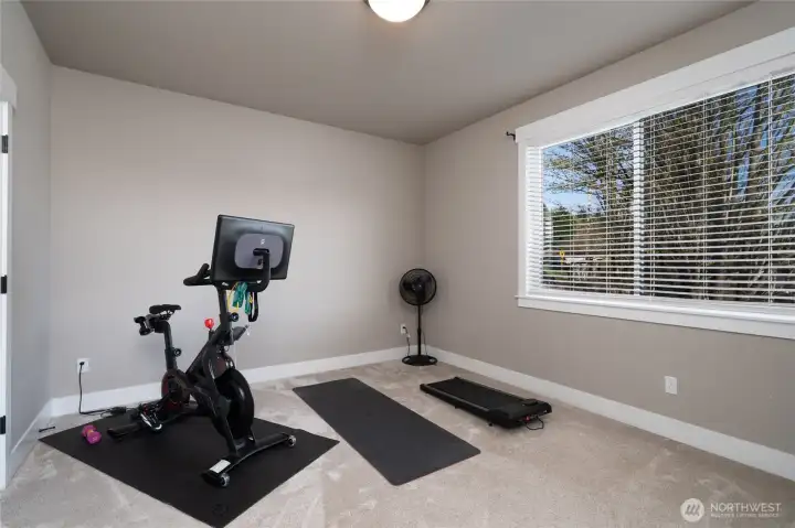 Home gym space with natural light and workout area