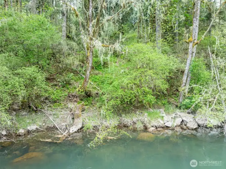 River bank from the property.