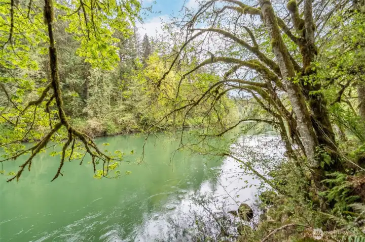 View of the river from the property.