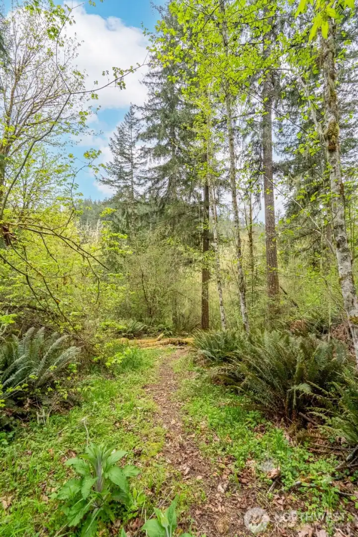 Cleared gravel path to the river, plenty wide enough for ATV or tractor.