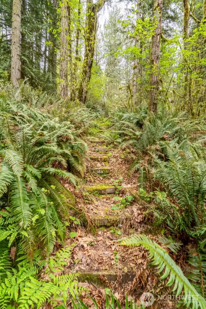 Wooden steps that lead to the river.