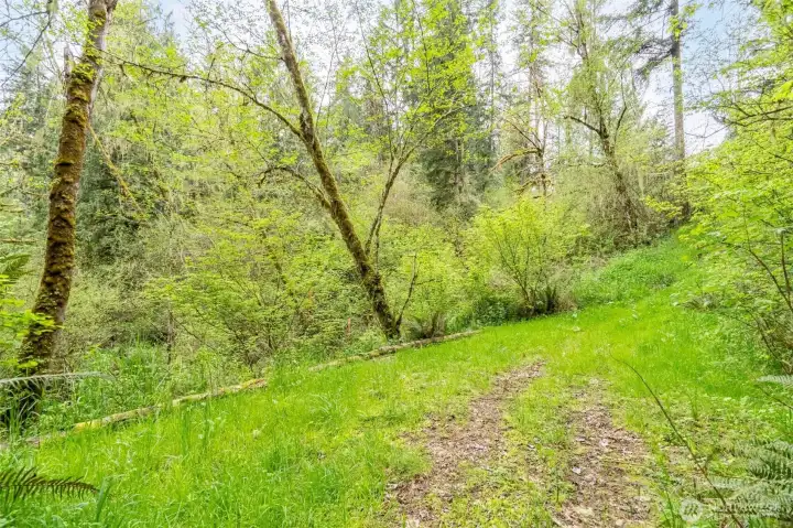 Another gravel path, to the river, on the far side of the undeveloped parcel.
