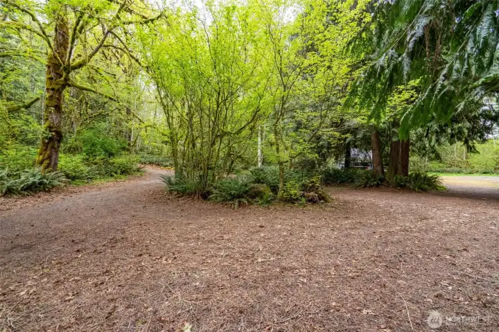 Spacious circular driveways to allow for ease of parking RV, boat, etc.