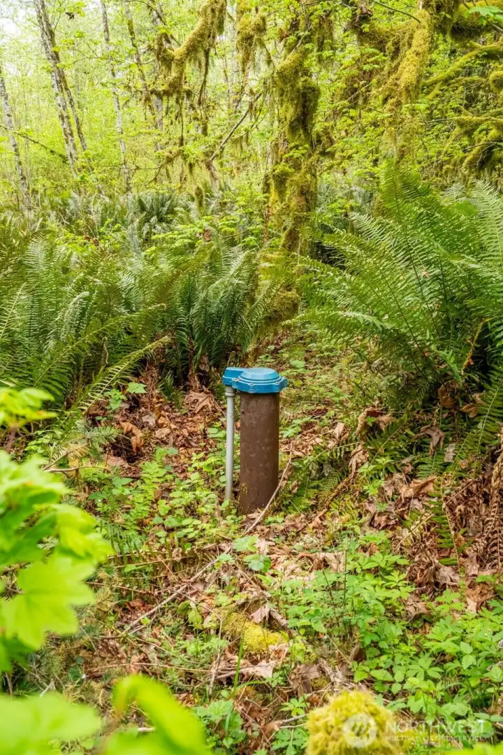 Well head to the right of the pump house.