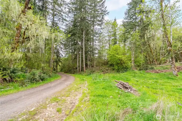 Upper part of both parcels continues on the other side of dirt road.