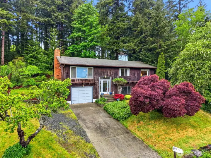 Backing to towering evergreens gives you a backyard buffer that no fence can replicate — privacy without the maintenance. Backing to towering evergreens gives you a backyard buffer that no fence can replicate — privacy without the maintenance.