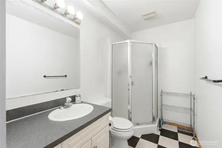Bathroom on the lower level. Bathroom on the lower level.