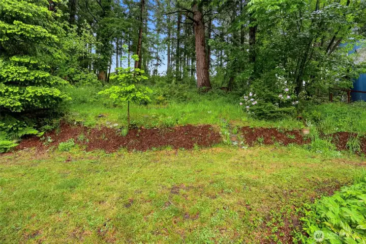 A blank canvas backyard with established beds and mature trees — put in the work and this becomes something special. A blank canvas backyard with established beds and mature trees — put in the work and this becomes something special.