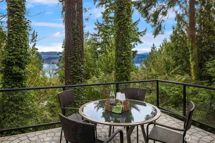 Deck off the dining room creates effortless indoor-outdoor entertaining with filtered lake views