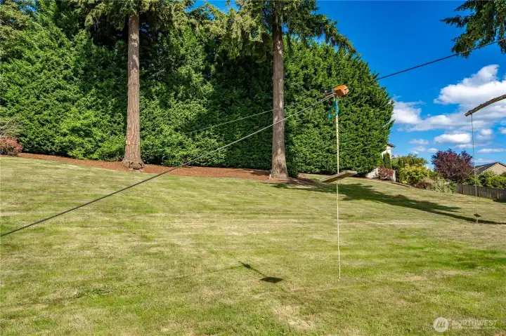 100ft zip line is fun for everyone! 100ft zip line is fun for everyone!