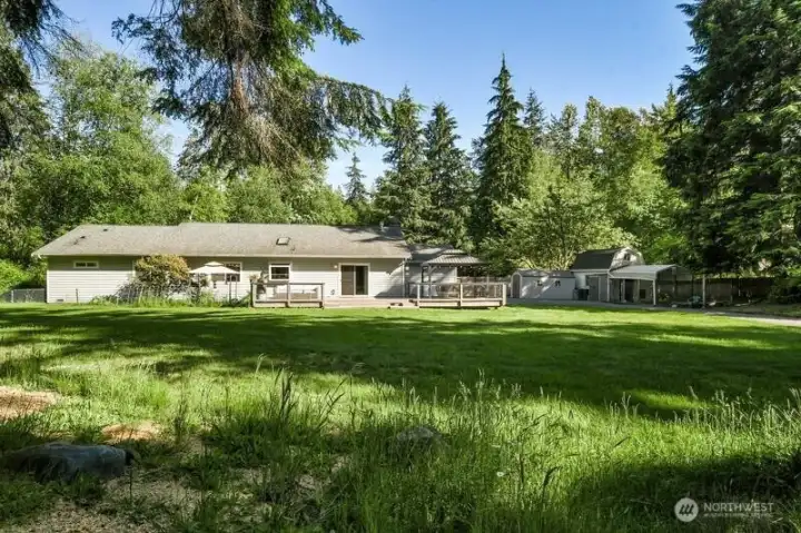 A look at the back of the house from the tree line in the back yard
