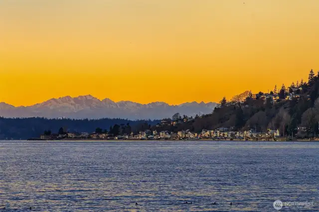 Listen to the gentle waves unrolling onto the shore while absorbing the captivating views all around. View of Three Tree Point and the snowy peaks of the Olympics in the background.