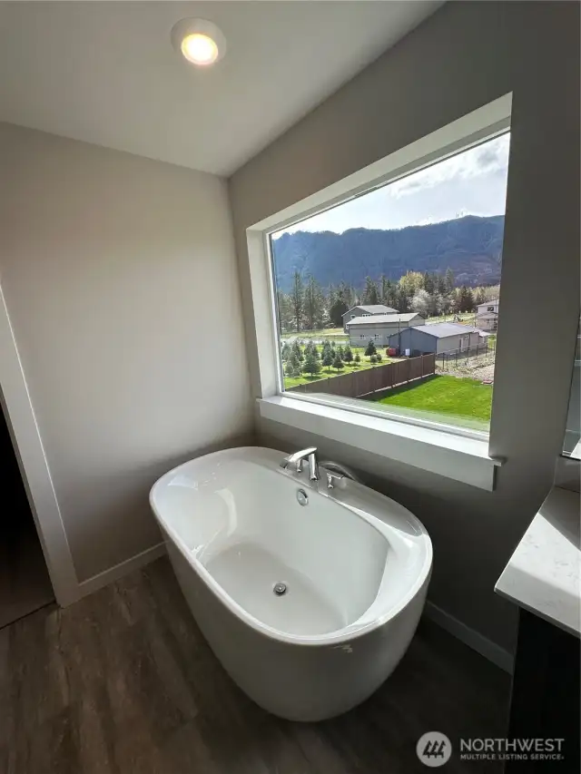 View from the primary bathroom towards the back.