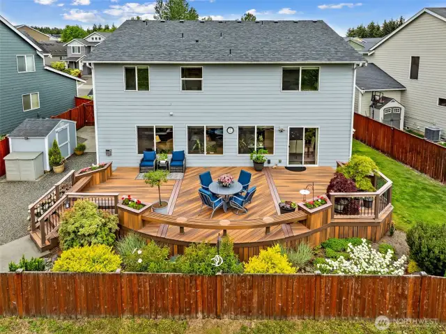 Backyard Oasis!