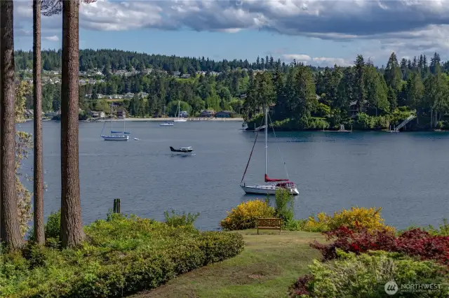 Port Ludlow is a boater's paradise - with abundant marine life - King Fishers, Herons, Eagles, Otters, Seals... Deer