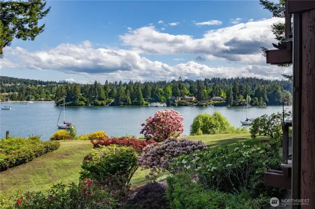 Gorgeous, mature landscape