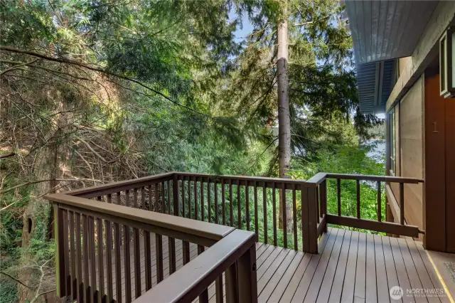 Deck at your entry, calling all nature loves!