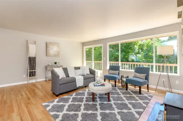 entertainment size living room, all new paint throughout,