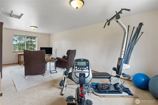 Rec room has a Murphy Bed and plenty of room for a work out room.