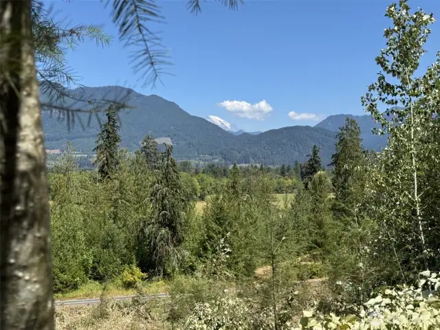 View from the building site on lot 4. Driveway approach is right off of Skinner Rd.