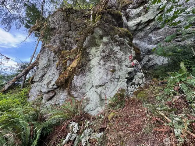 Unique rock feature on lot 4.
