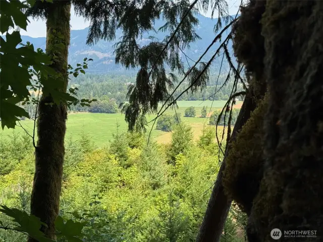 view from campsite on lot 4