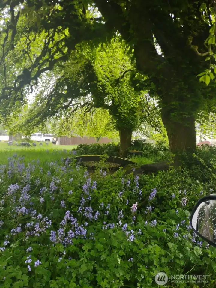 Beautiful, mature landscaping