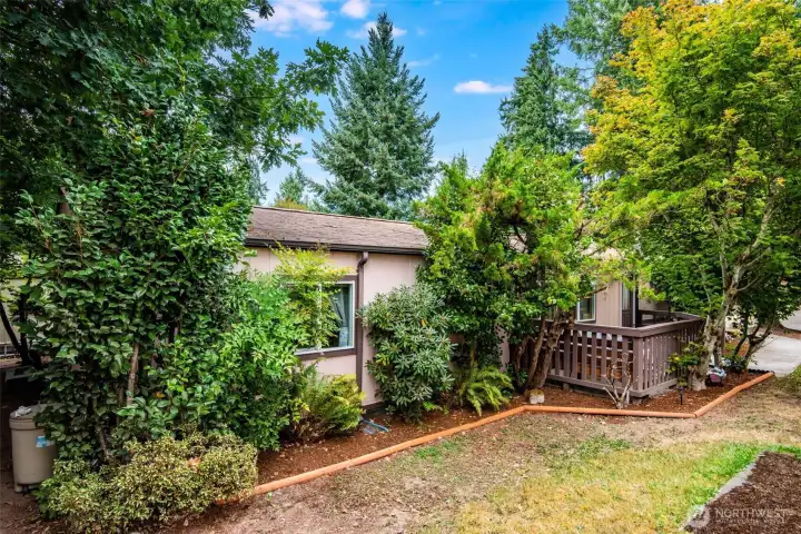 Private side yard with mature landscaping creates a peaceful retreat.