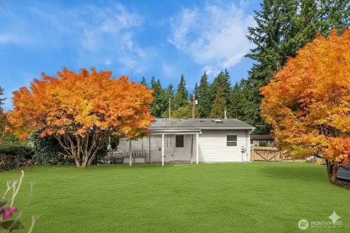 Virtual enhancement used to show potential landscaping.