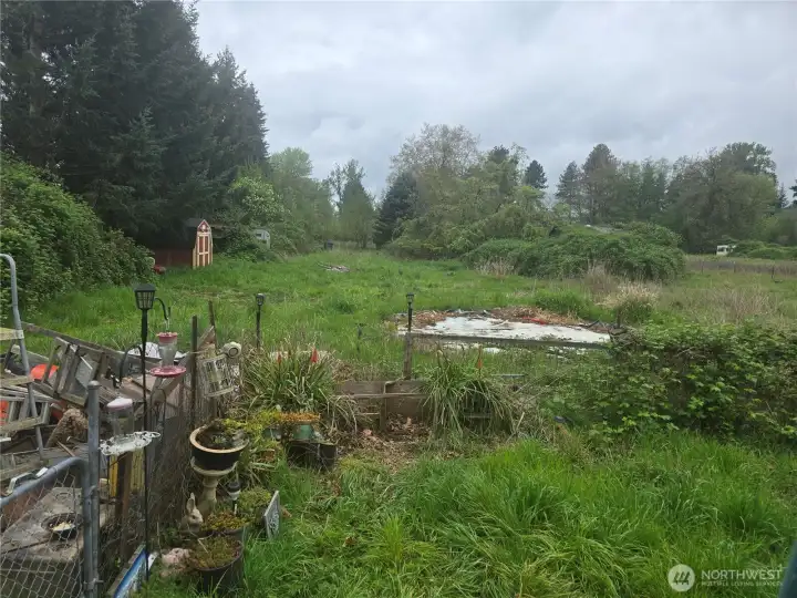 Backyard to willow st