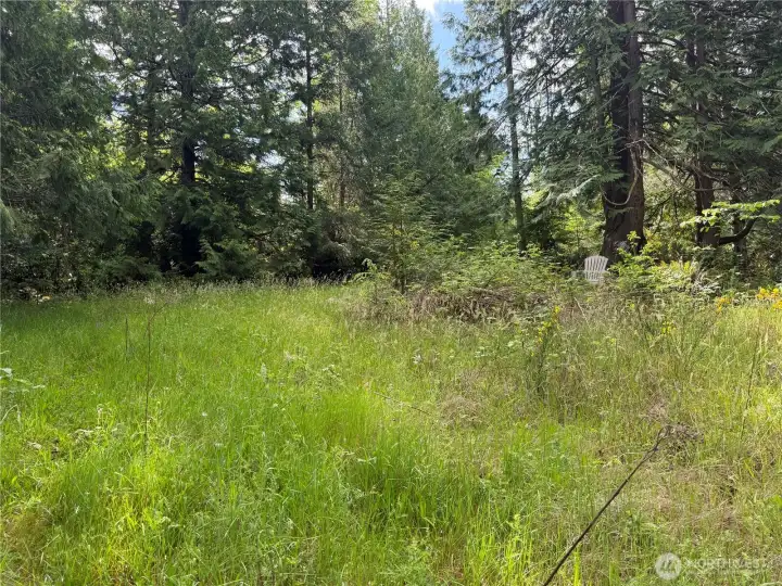 This is also part of the upper area of the lot. You can get here via the 2 roads/paths that lead up there. This is also a flat area.
