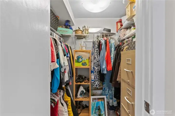 Ample Walk-In Closet in bedroom