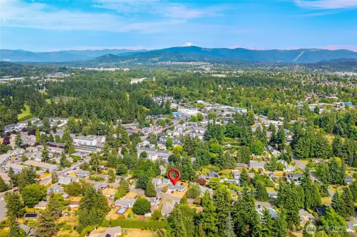 A sweeping view of the Birchwood & surrounding Bellingham neighborhood.