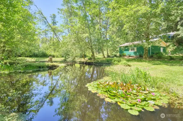 Pond on property